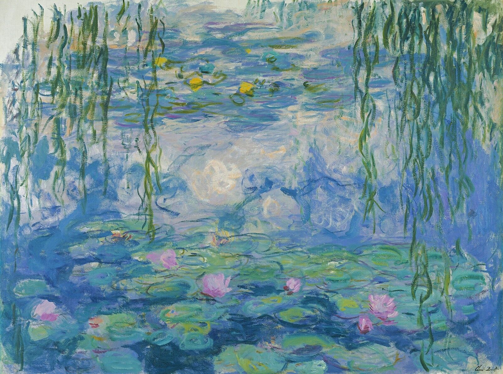 Water Lilies